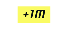 1M